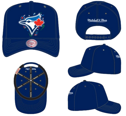 Toronto Blue Jays Mitchell & Ness Day of the Dead Pro Crown Snapback - Navy