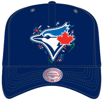 Toronto Blue Jays Mitchell & Ness Day of the Dead Pro Crown Snapback - Navy