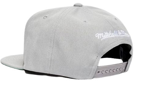 Toronto Raptors Mitchell & Ness Snapback - Grey on Grey