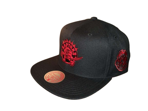 Toronto Raptors Mitchell & Ness Snapback - Hellboy