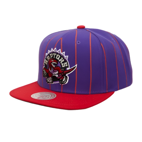 Toronto Raptors Mitchell & Ness Snapback - Pinstripes