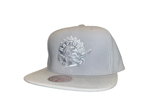 Toronto Raptors Mitchell & Ness Snapback - Grey on Grey