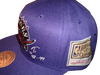 Toronto Raptors Mitchell & Ness Snapback - Jersey Year Side