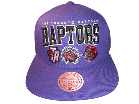 Toronto Raptors Mitchell & Ness Snapback - Multi Logo