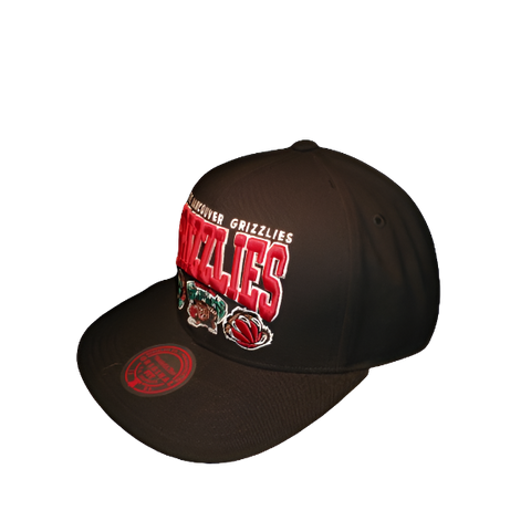 Vancouver Grizzlies Mitchell & Ness Snapback - Multi logos