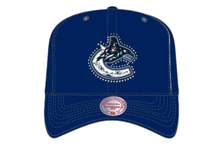 Vancouver Canucks Orca Logo Mitchell & Ness Day of the Dead Pro Crown Snapback - Navy