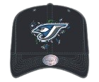 Toronto Blue Jays Mitchell & Ness Day of the Dead Pro Crown Snapback - Black