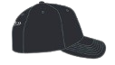 Toronto Blue Jays Mitchell & Ness Day of the Dead Pro Crown Snapback - Black
