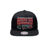 Vancouver Grizzlies Mitchell & Ness Snapback - Trio Logo