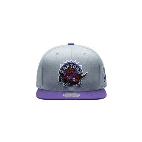 Toronto Raptors Mitchell & Ness Snapback - Two Tone Grey