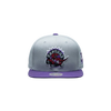 Toronto Raptors Mitchell & Ness Snapback - Two Tone Grey