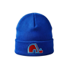 Quebec Nordiques Vintage American Needle Single Fold Toque -Blue