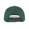 Green Bay Packers Vintage Logo '47 Brand Hitch Hat - Green