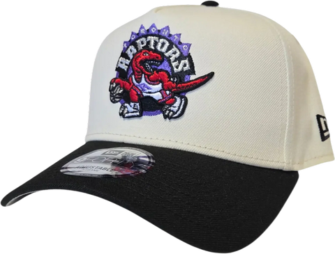 Toronto Raptors Vintage New Era 9FORTY A-Frame Snapback - Two-Tone
