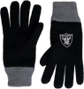 Las Vegas Raiders Polyester Double Lined Winter Gloves One Size Fits Most - Black