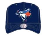 Toronto Blue Jays Mitchell & Ness Day of the Dead Pro Crown Snapback - Navy