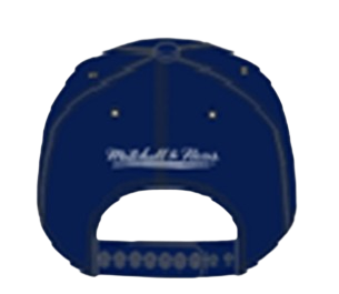 Toronto Blue Jays Mitchell & Ness Day of the Dead Pro Crown Snapback - Navy