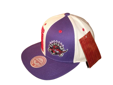 Toronto Raptors Mitchell & Ness Snapback - Split Color Panel