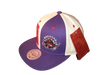 Toronto Raptors Mitchell & Ness Snapback - Split Color Panel