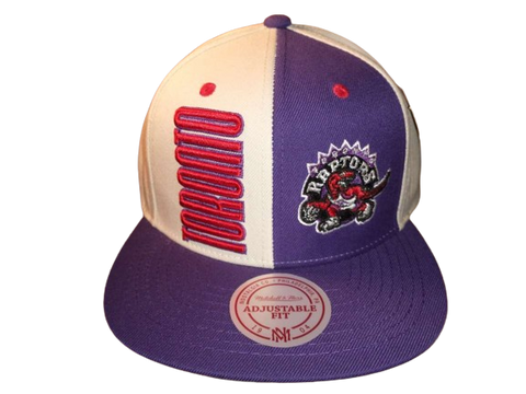 Toronto Raptors Mitchell & Ness Snapback - Split Color Panel