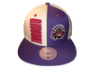 Toronto Raptors Mitchell & Ness Snapback - Split Color Panel