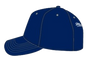 Vancouver Canucks Orca Logo Mitchell & Ness Day of the Dead Pro Crown Snapback - Navy