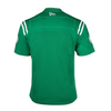 Saskatchewan Roughriders New Era Alternate Jersey - Green