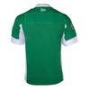 Saskatchewan Roughriders New Era Home Jersey - Green