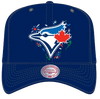 Toronto Blue Jays Mitchell & Ness Day of the Dead Pro Crown Snapback - Navy