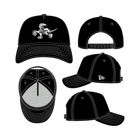 Toronto Raptors A-Frame 9FORTY Adjustable - Black & White