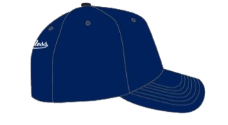 Vancouver Canucks Orca Logo Mitchell & Ness Day of the Dead Pro Crown Snapback - Navy