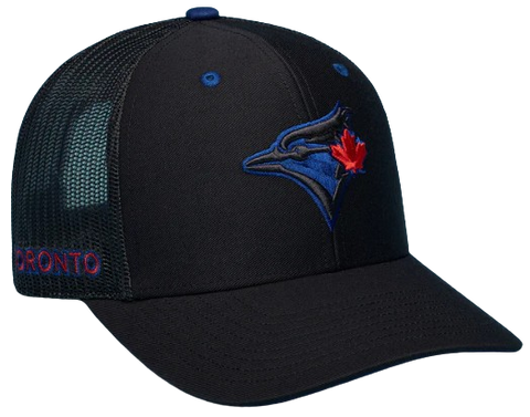 City Connect Toronto Blue Jays Jay logo Trucker Hat