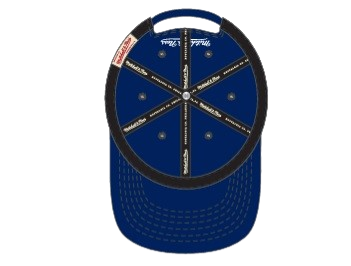 Vancouver Canucks Orca Logo Mitchell & Ness Day of the Dead Pro Crown Snapback - Navy
