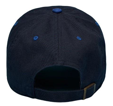 City Connect Toronto Blue Jays Jay Logo Clean Up Hat